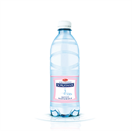 Immagine di Sorgesana naturale 0,5 Lt Pet