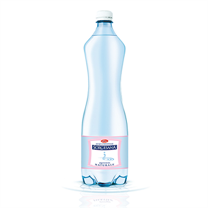 Picture of Sorgesana naturale 1 Lt Pet