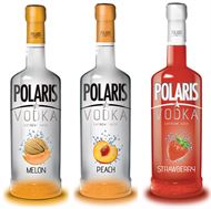 Immagine di Vodka extreme juice Labadia 100 cl.